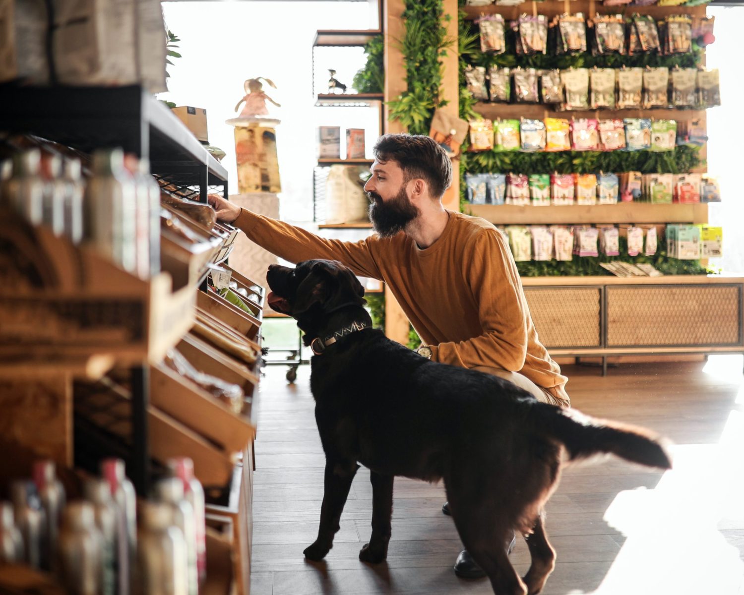 Young Man And His Dog Explore the Pet Store