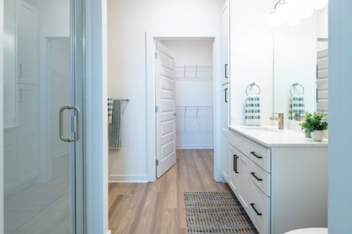 Apartments For Rent Downtown Knoxville Modern bathroom with white cabinets, a countertop with plant decor, a glass shower door, and an open door leading to a walk-in closet. Light wood flooring throughout. Knoxville Apartments